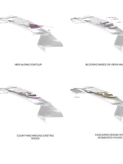 Further diagrams of our computational design process for Amar Villa, showing how we blocked the form based on views and privacy.