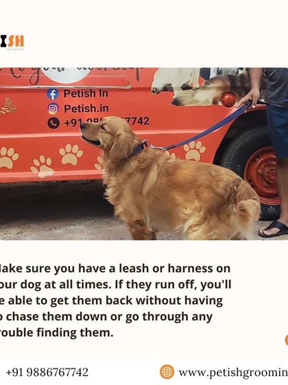 Petish Grooming - Mobile Grooming for Dogs & Cats Pet Care Tips & FAQs photo 11