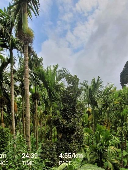 The Journey Within: My Story photo 8