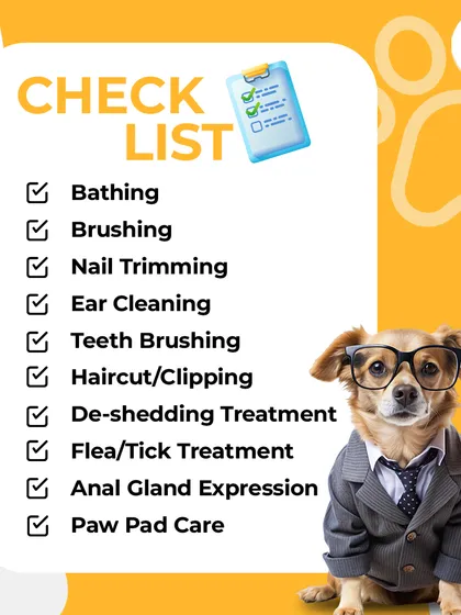 My at-home grooming service is more than just a haircut. I cover everything from bathing and brushing to nail trimming, ear cleaning, and even paw pad care to ensure your pet gets a complete, head-to-tail pampering session.