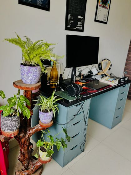 A home office that combines work and wellness. I used a unique stand made from a coffee tree stump to hold a variety of air-purifying plants, bringing a touch of nature and nostalgia to the workspace.