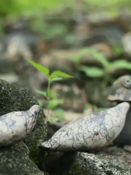 The beautiful, unpredictable results of Raku firing. These small ceramic birds showcase the classic crackled glaze and metallic sheens created by the rapid cooling and smoking process.