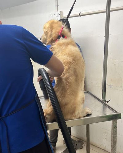 Animal Rescue & Rehabilitation