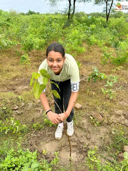 A young girl proudly holds a sapling she is about to plant. We love seeing the next generation take an active role in our community drives.