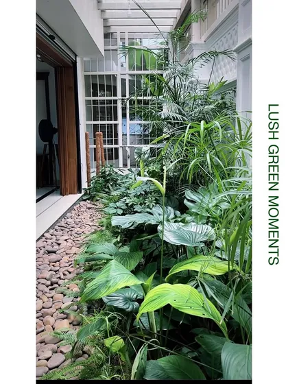 This narrow side yard was transformed into a dense, tropical corridor. By layering plants of different heights, like peace lilies and palms, we created a "lush green moment" that provides a beautiful view and a sense of privacy.