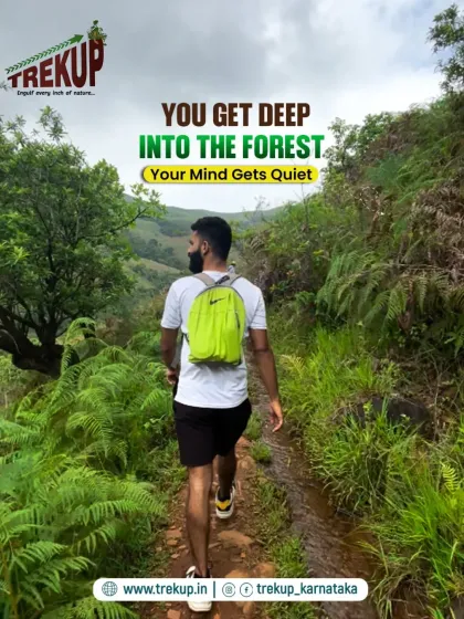 A trekker walking through a lush forest path. This image illustrates how getting deep into the forest can quiet the mind.