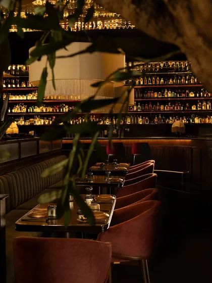 A glimpse of the Hikki bar in Delhi, viewed through the leaves of an olive tree. This composition captures the essence of the space: a layered, intimate atmosphere where the glowing bar becomes a beacon in a moody, decadent setting.