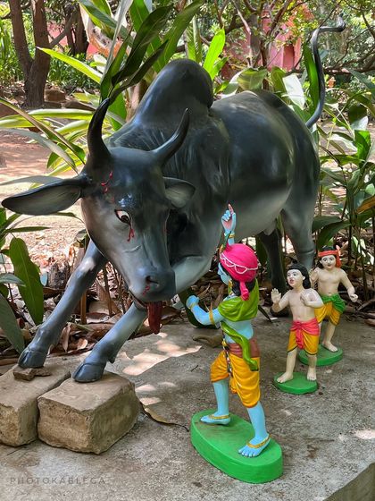 Sacred Sanctuaries of India photo 19