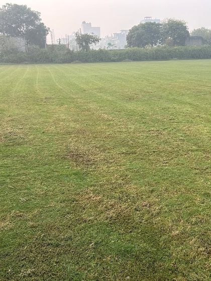 A freshly mowed section of a large lawn, showing the clean look and healthy state of the grass.