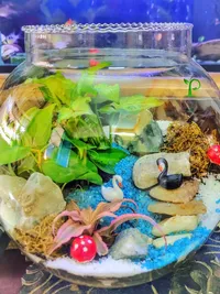 Plant Gifting Solutions
