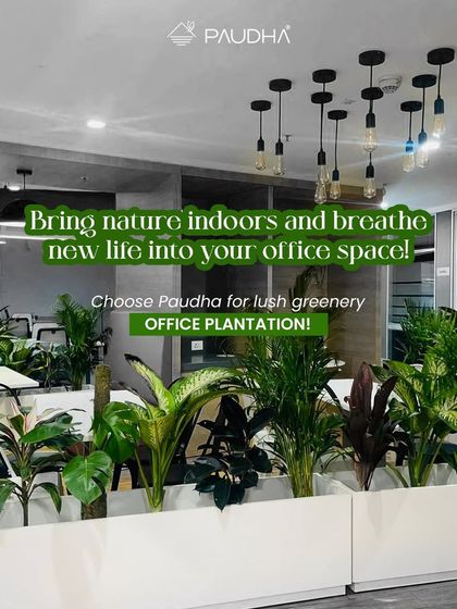 Paudha - Commercial Biophilic & Interior Design Office & Workspace Transformations photo 7