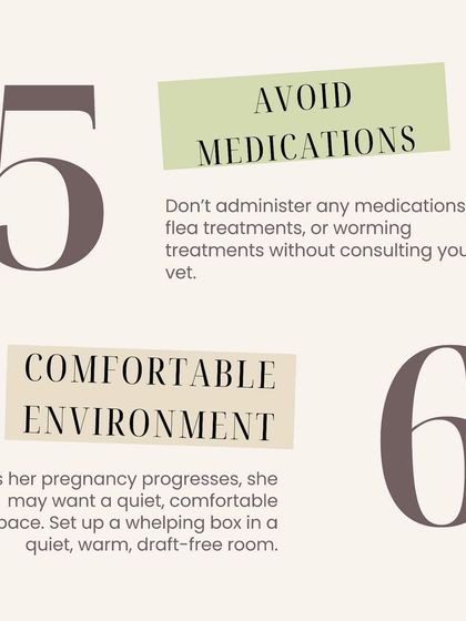 Furever Safe - Pet Boarding & Day Care Pet Parent Resources photo 8