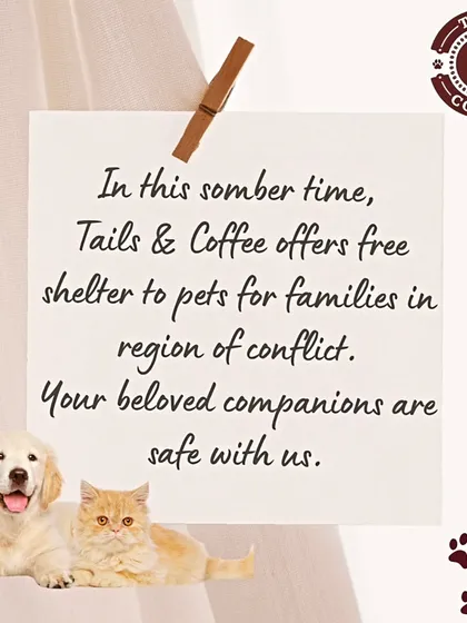 Our love for animals extends to our entire community. During difficult times, we open our doors to provide a safe shelter for pets whose families are in distress. Your companions are always safe with us.