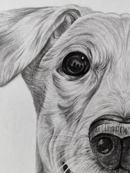 A macro shot of the dog's eye in the sketch. This level of detail, capturing the reflection and fur texture, is what brings a portrait to life.