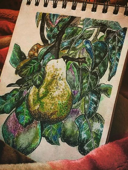Different views of the finished pear watercolour sketch, showing the details and colours from various angles.