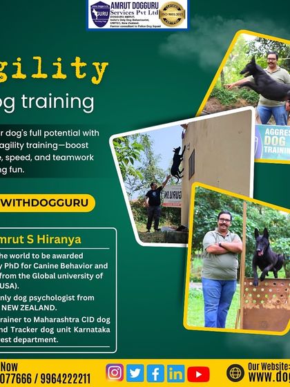 Dog Guru - Professional Dog Trainer Certification Advanced Training in Action photo 9