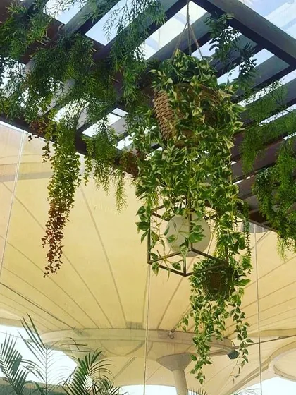 We created this dreamy overhead installation for a semi-outdoor seating area. Faux hanging plants and vines are woven through a wooden pergola, creating a natural canopy that provides a sense of enclosure and tranquility without blocking the light.