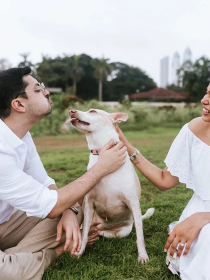 These are the silly, in-between moments that make the best memories. I encourage playful interactions during my sessions to bring out the genuine fun and laughter you share with your pet.
