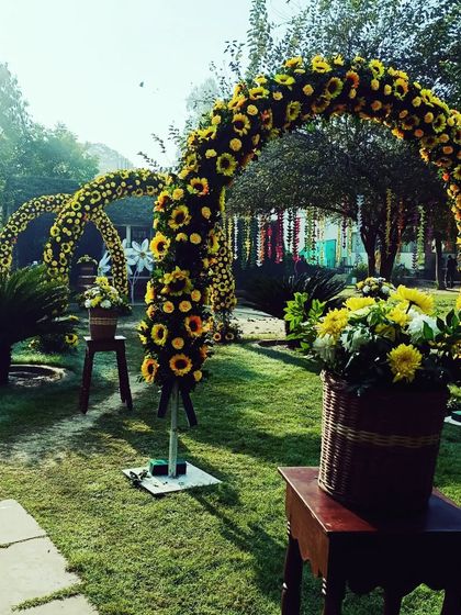 Vibrant Haldi & Mehendi Celebrations photo 66