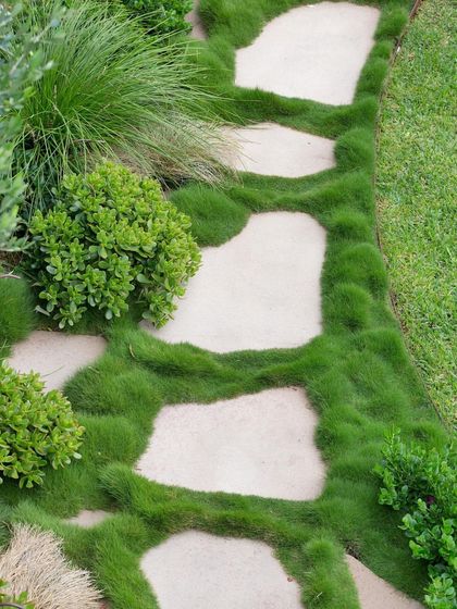 A close-up of a flagstone path with Zoysia grass. This detail shows how the grass grows around the stones, creating a unique, textured surface that is both beautiful and practical.