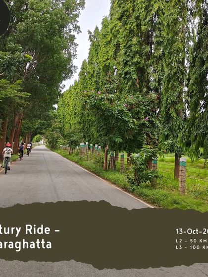 The 'Century Ride' in Hesaraghatta is a great challenge for experienced riders, with 50km and 100km options on beautiful, quiet roads.