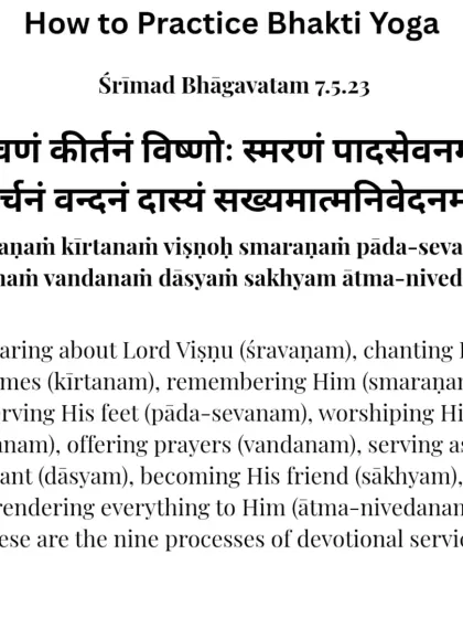 Rohit N - Yoga Teacher Training Yoga Philosophy: Wisdom for Modern Life photo 33