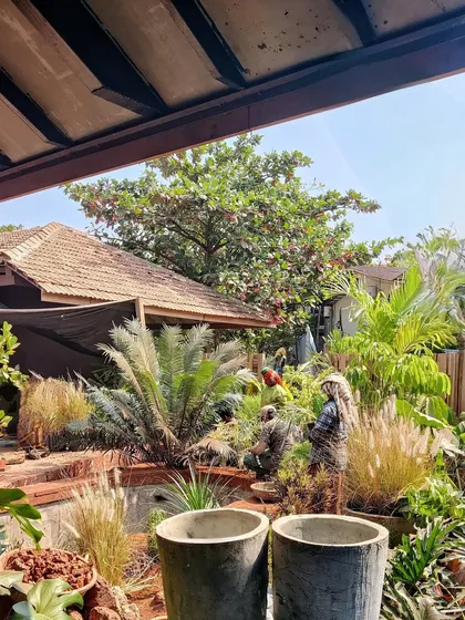 A work-in-progress still from a villa we landscaped in Goa. These behind-the-scenes shots take us right back to the details, wins, and bloopers of each project.