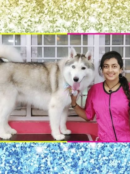 Fuzzy Wuzzy - Pet Grooming & Spa Spaniels, Retrievers & Large Breed Grooming photo 34