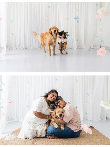 A beautiful family portrait from a Mother's Day mini-session. This collage shows the joy of a multi-pet household, with everyone snuggled together in a bright, airy studio setting.