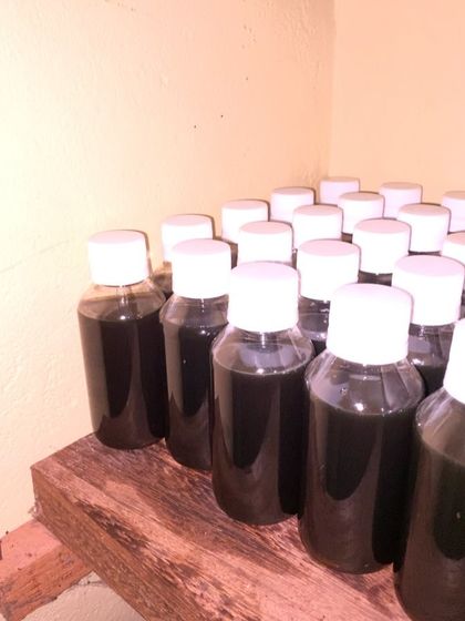 Bottles of freshly made Kanya Hair Oil, lined up and waiting to be labeled. This is a glimpse into my small-batch production process.