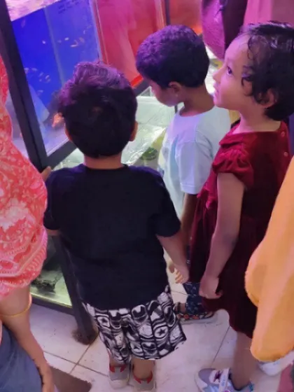 A gallery from our day at the aquarium. The children's faces light up with wonder as they observe the magic of underwater life, from colorful fish to starfish.