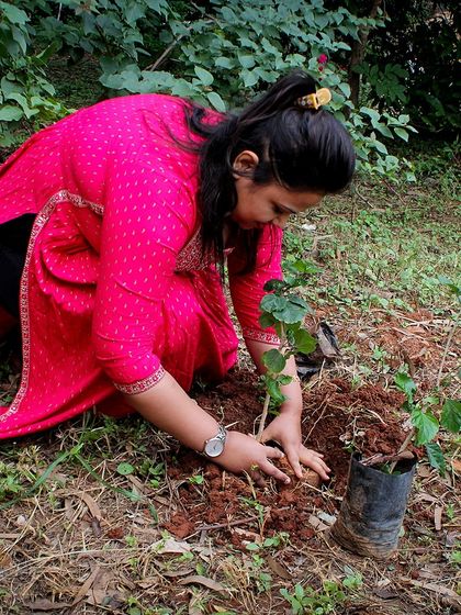 Art of Living - Spiritual Retreats & Campus Experience The Spirit of Seva (Selfless Service) photo 6