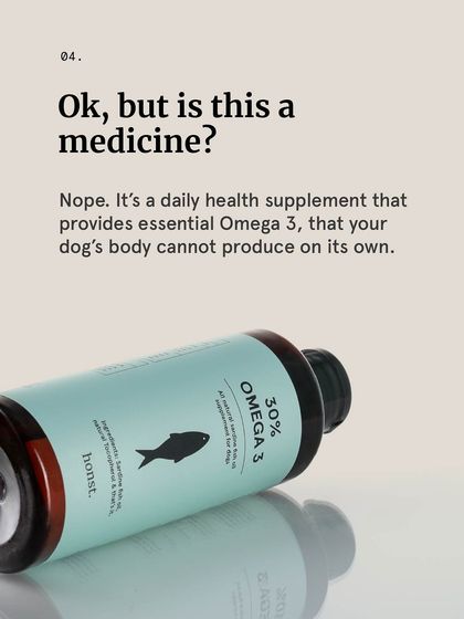 The Pack - Pet Parent Education & Workshops The Healthy Bowl: Canine Nutrition & Recipes photo 26