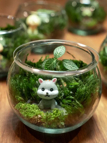 This tiny hamster figurine looks right at home in its own little mossy world. These miniature gardens are a living work of art that adds a refreshing touch to any setting.