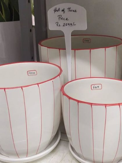 Pots & Planters Collection photo 9