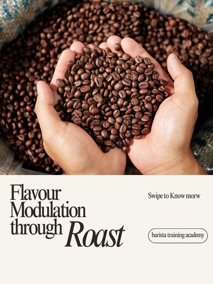 Flavor modulation through roast. We teach you how to control the roasting process to achieve the exact balance of acidity, sweetness, and body you desire.