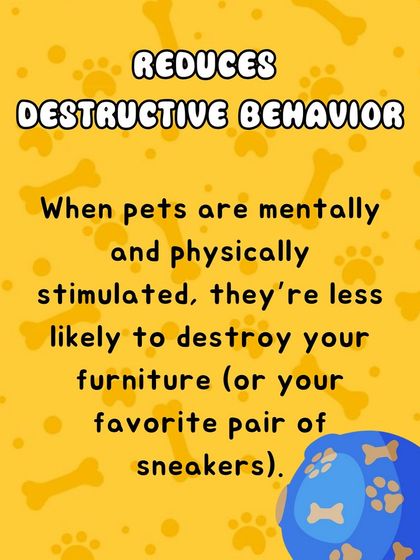 Oh My Dawg - Pet Supplies Playtime & Enrichment photo 8