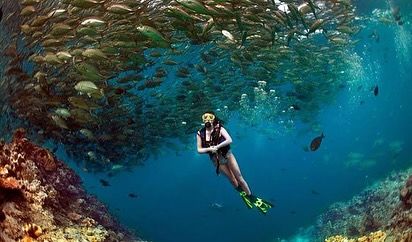 A diver is dwarfed by a swirling vortex of jackfish. Being inside a bait ball is a breathtaking and humbling experience.