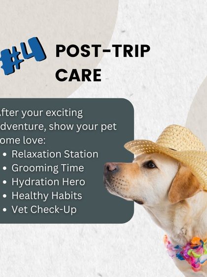 After a fun trip, your pet needs some post-trip care. Help them relax, give them a good grooming session, and ensure they are hydrated to get them back into their routine.