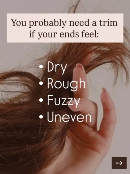 Do your ends feel dry, rough, or fuzzy? You probably need a trim. This graphic helps you identify the key signs that your hair is asking for a haircut to remove damage and refresh your style.