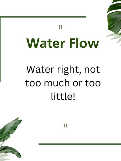 Plant Care & Our Catalog photo 15