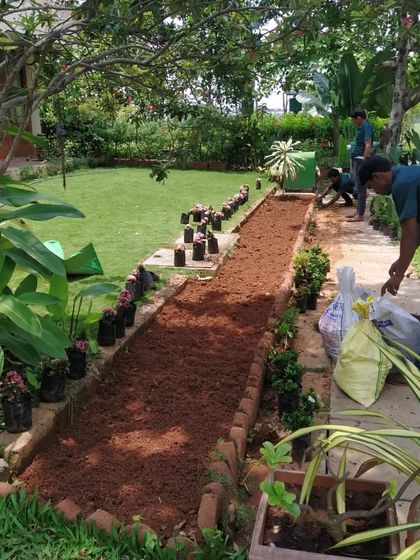 Our team is at work creating a long, rectangular planter bed using bricks as a border. This image shows the process of filling the bed with nutrient-rich red soil, getting it ready for new plants and flowers.