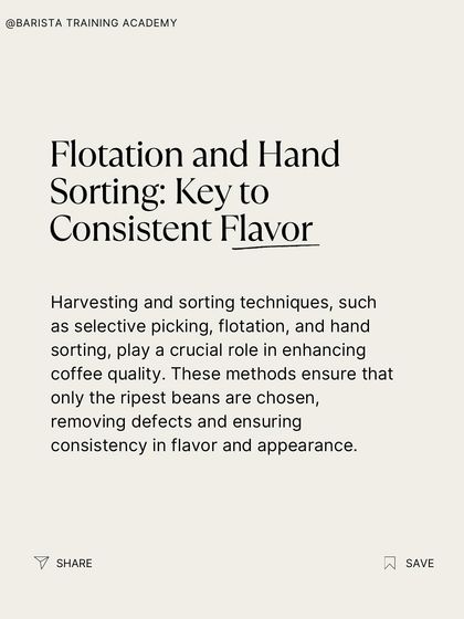 Techniques like flotation and hand sorting are key to enhancing coffee quality by removing defects and ensuring consistency in flavor and appearance.