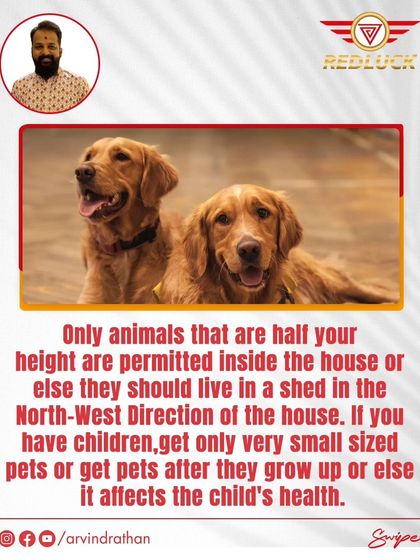 Arvind Rathan - Vastu Shastra Consultation Vastu for Health, Relationships & Well-being photo 8