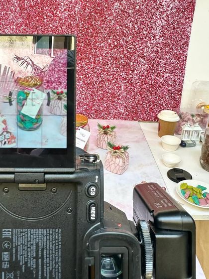 Here's the view from the camera during our festive shoot. That sparkly pink background really sets the mood.