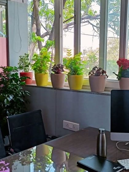 Multiplex Urban Green - Landscape & Garden Services Vertical Gardens & Office Greenery photo 14