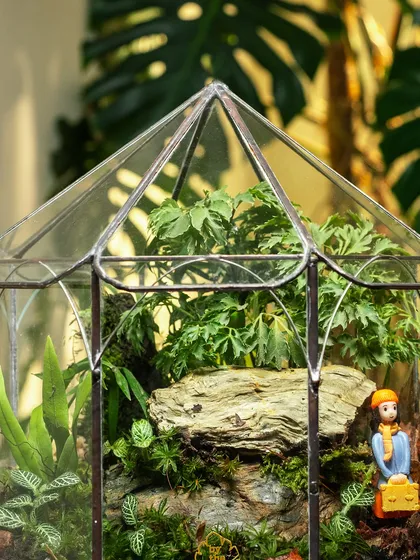A slightly different angle of the 'A Place Called Solitude' terrarium, highlighting the lush plants and the traveler figurine. It's a wonderful way to bring a story into your home decor.