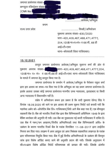 The first page of the bail application in the complex bank fraud case. Our argument centered on the fact that our client was a victim of the bank's upper management, not a perpetrator of the fraud.