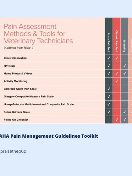Vets use various pain assessment tools, but home observation is one of the most critical components. I work collaboratively with pet parents and vets, using videos and detailed notes to help diagnose and manage pain.