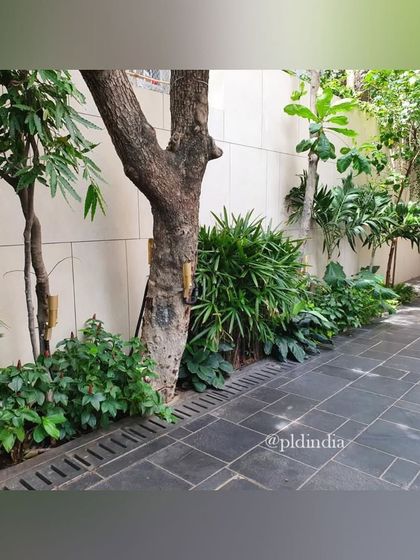 Ground-Level Gardens & Courtyards photo 9